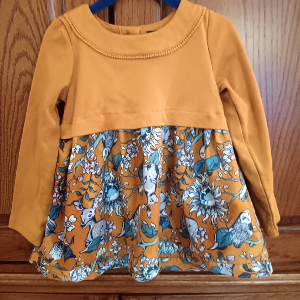 Beautiful  girls  dress